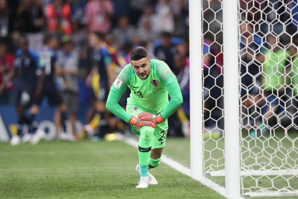 张到理性回 张到理性回